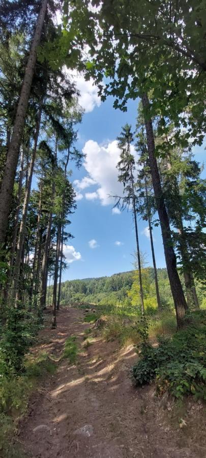 Apartman Na Kraji Lesa Janov nad Nisou Exteriér fotografie