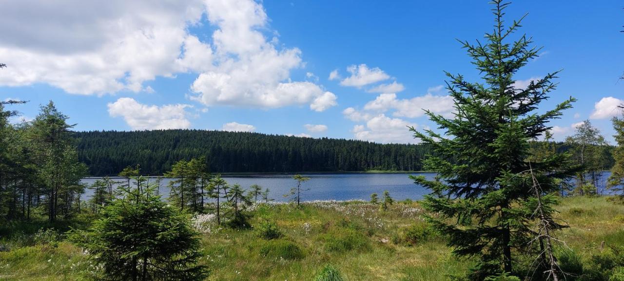 Apartman Na Kraji Lesa Janov nad Nisou Exteriér fotografie