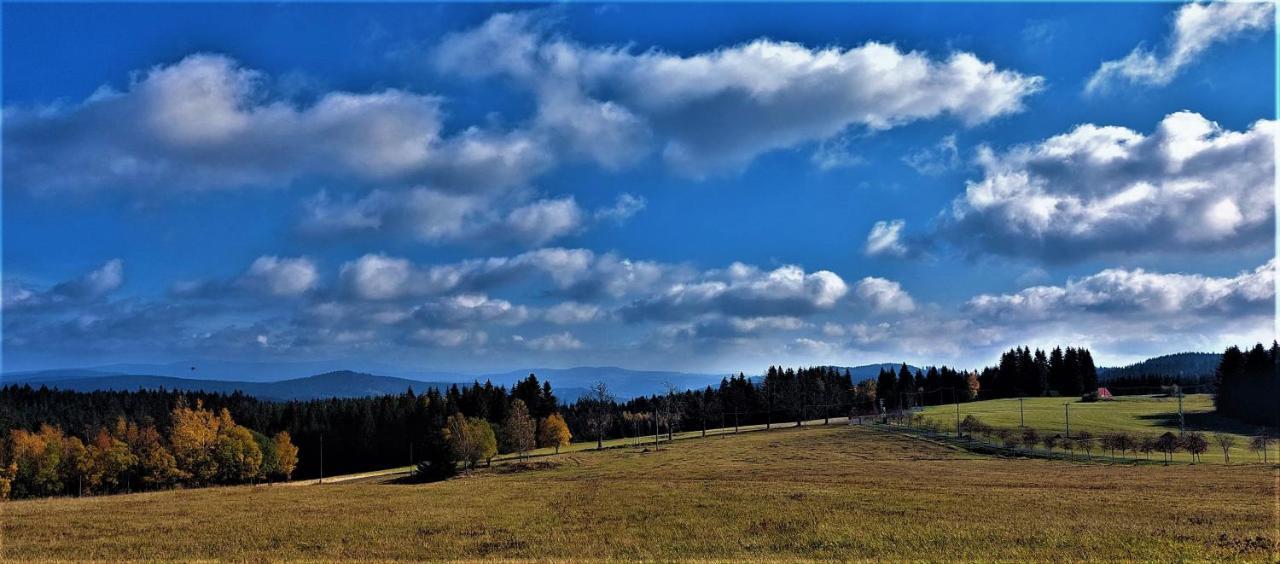 Apartman Na Kraji Lesa Janov nad Nisou Exteriér fotografie
