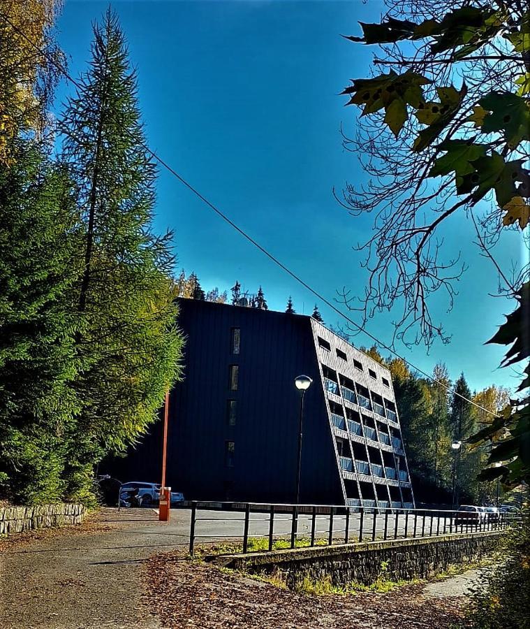 Apartman Na Kraji Lesa Janov nad Nisou Exteriér fotografie