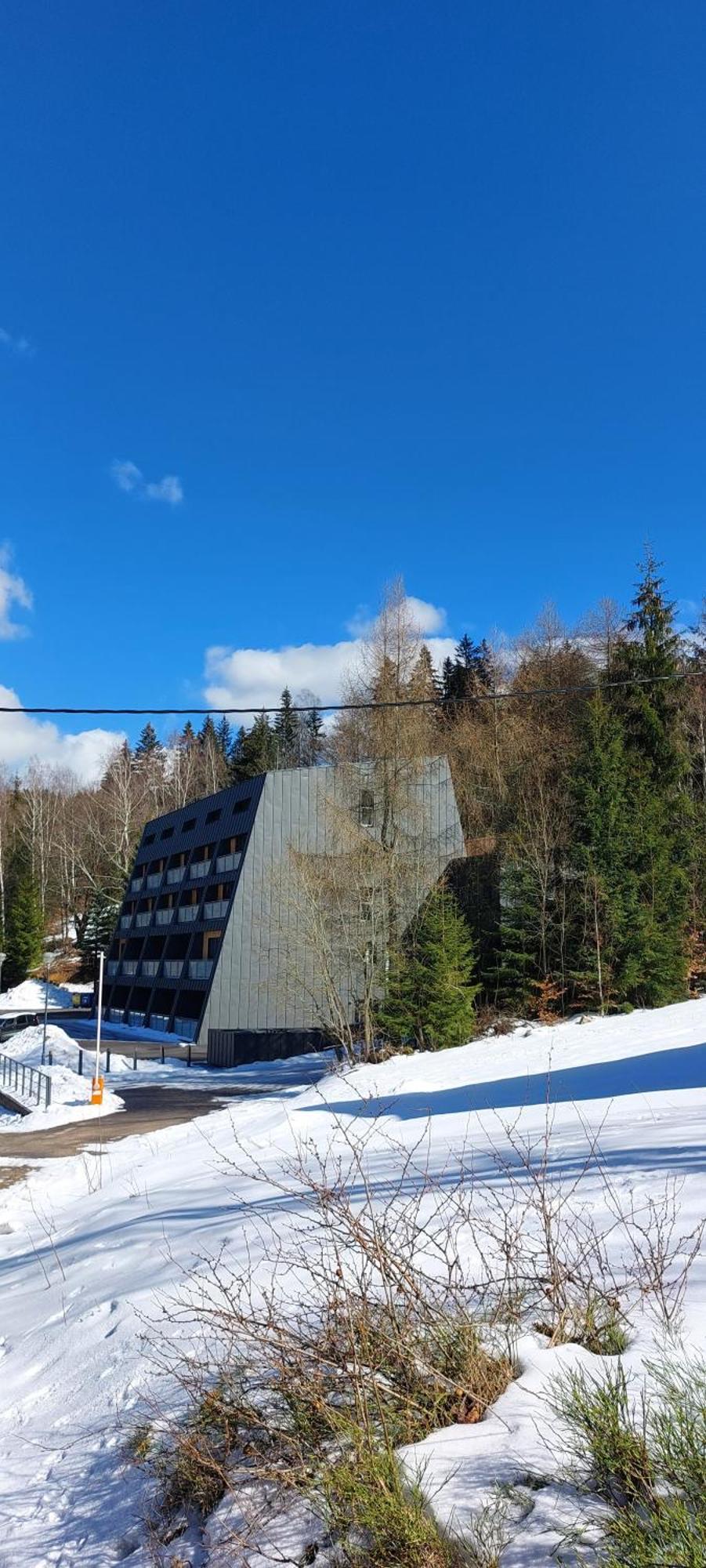 Apartman Na Kraji Lesa Janov nad Nisou Exteriér fotografie