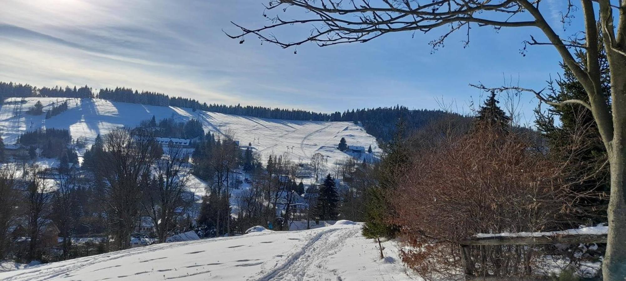 Apartman Na Kraji Lesa Janov nad Nisou Exteriér fotografie